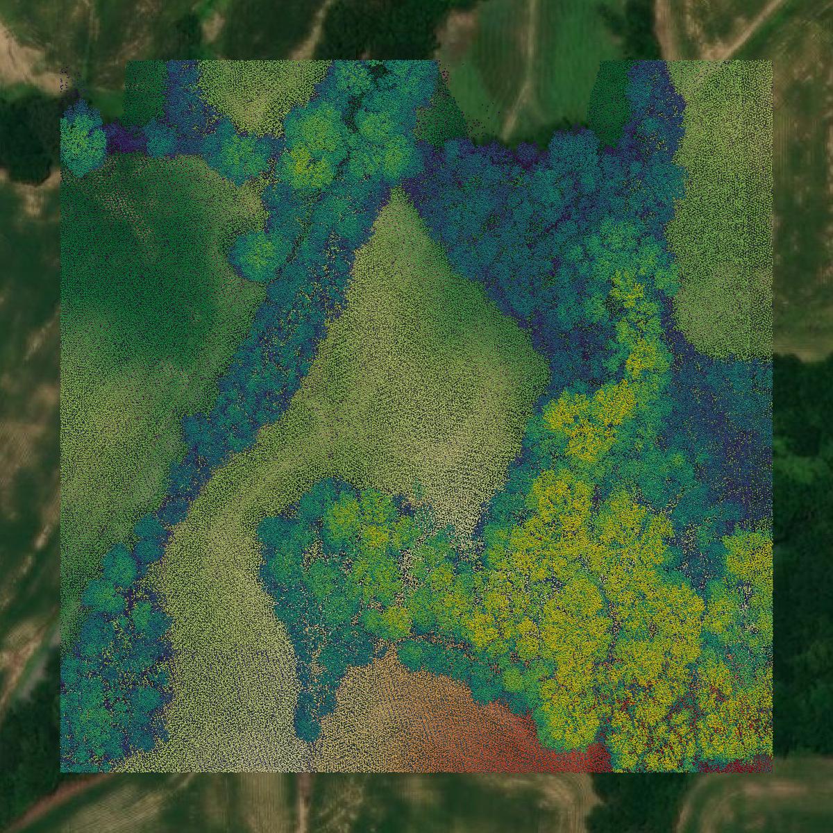 This image shows a LiDAR point cloud in Crockett County created using GIS data in Equator.