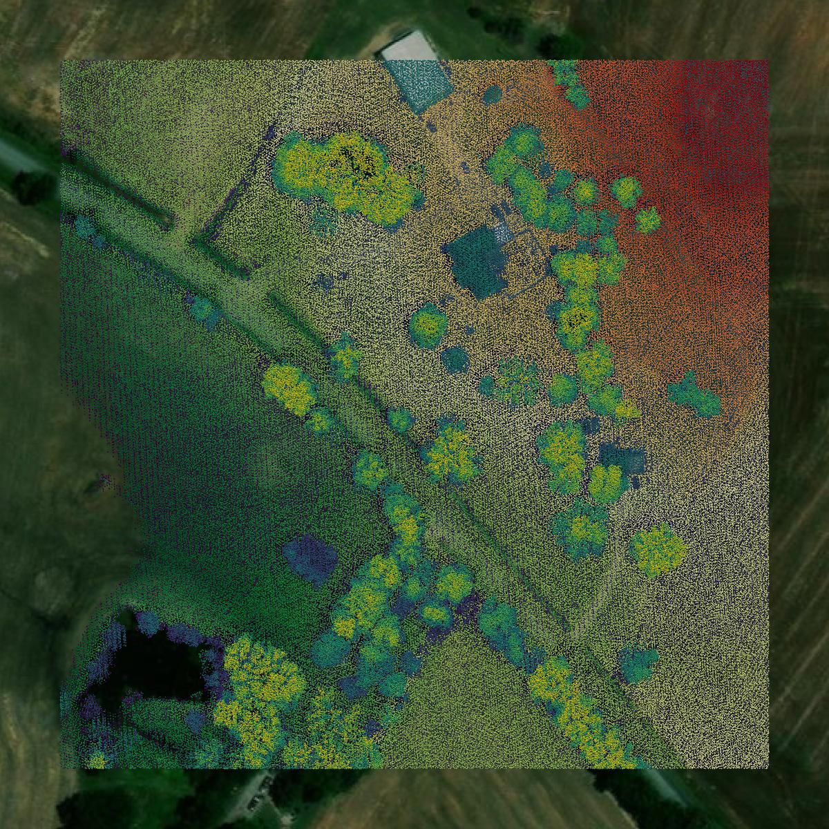 This image shows a LiDAR point cloud in Crockett County created using GIS data in Equator.