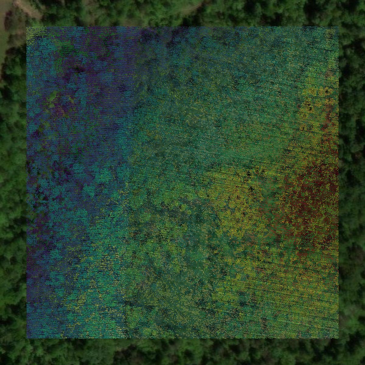 This image shows a LiDAR point cloud in Cumberland County created using GIS data in Equator.
