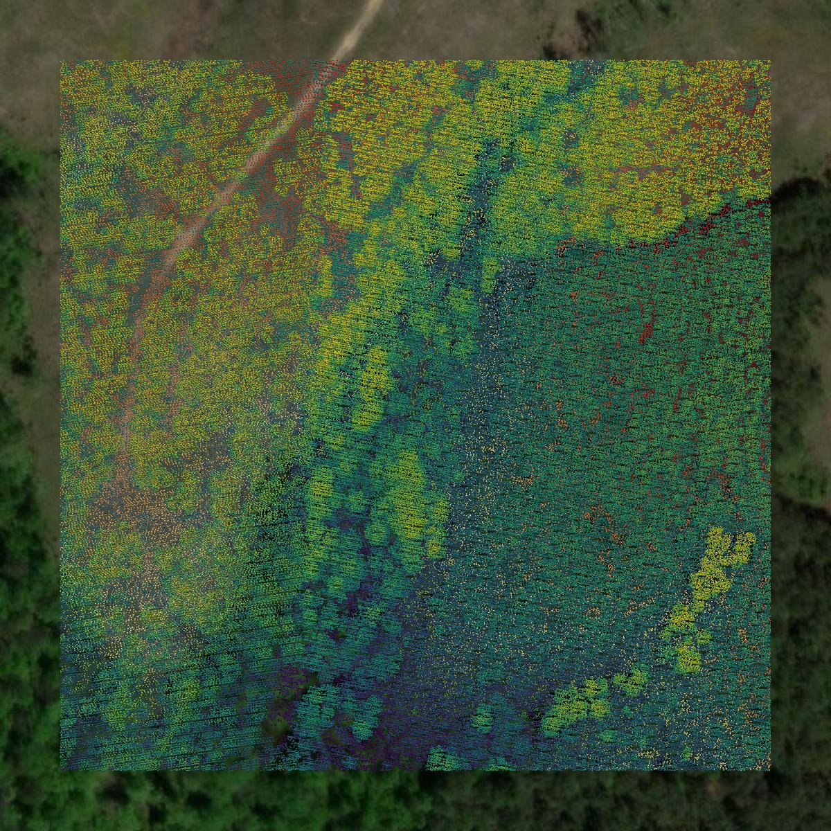 This image shows a LiDAR point cloud in Cumberland County created using GIS data in Equator.