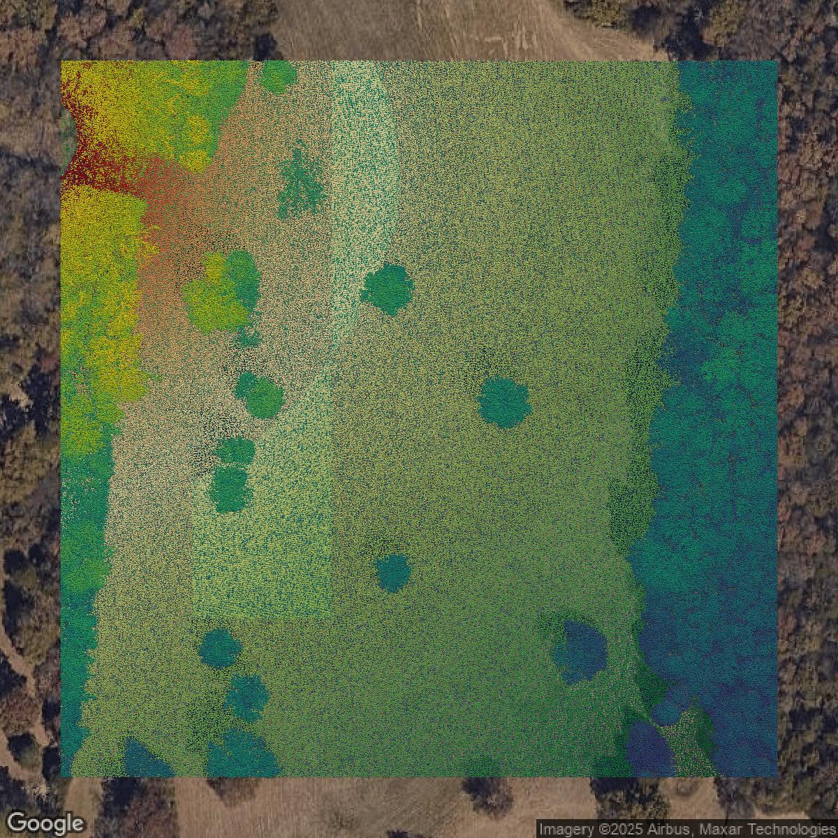 This image shows a LiDAR point cloud in Davidson County created using GIS data in Equator.