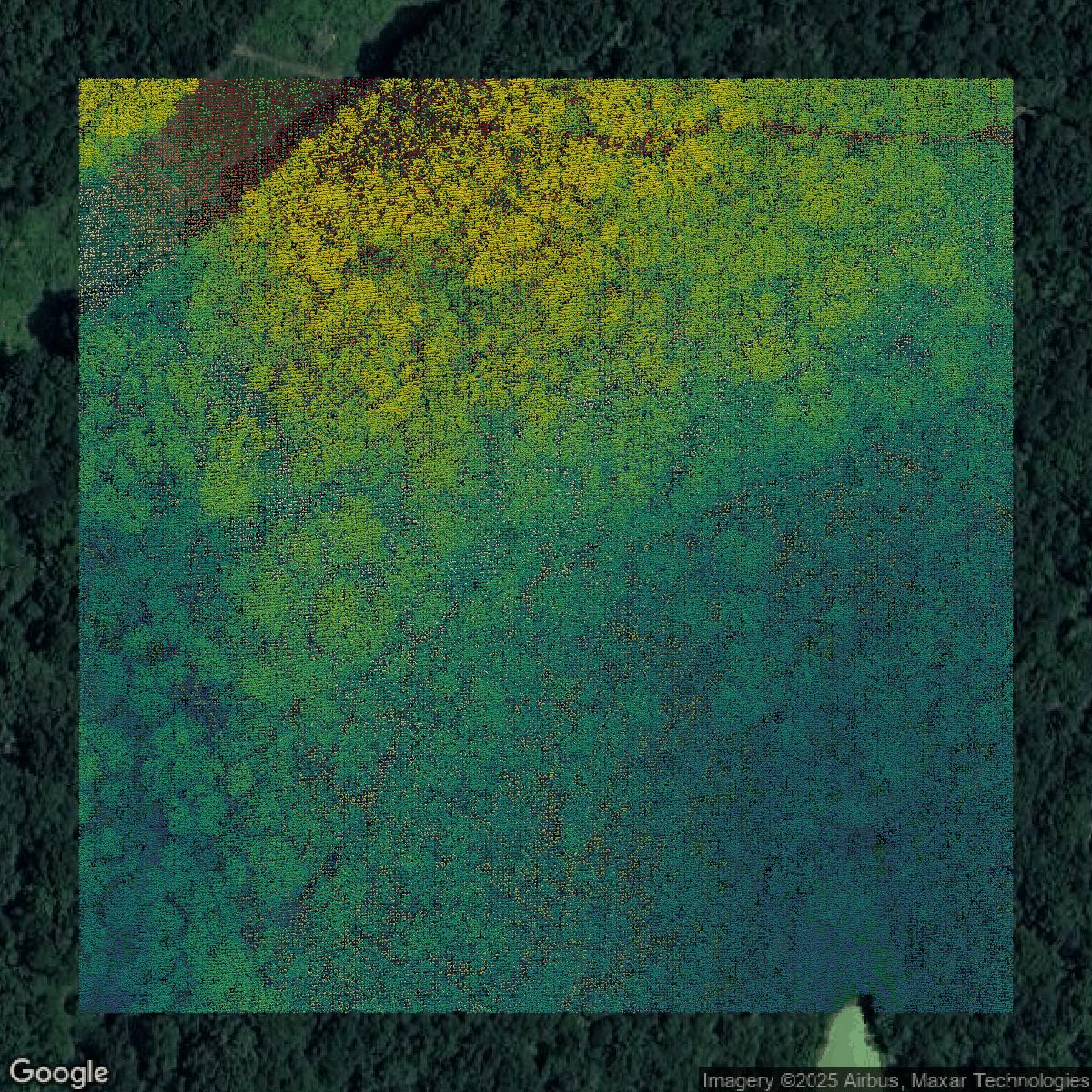 This image shows a LiDAR point cloud in Davidson County created using GIS data in Equator.