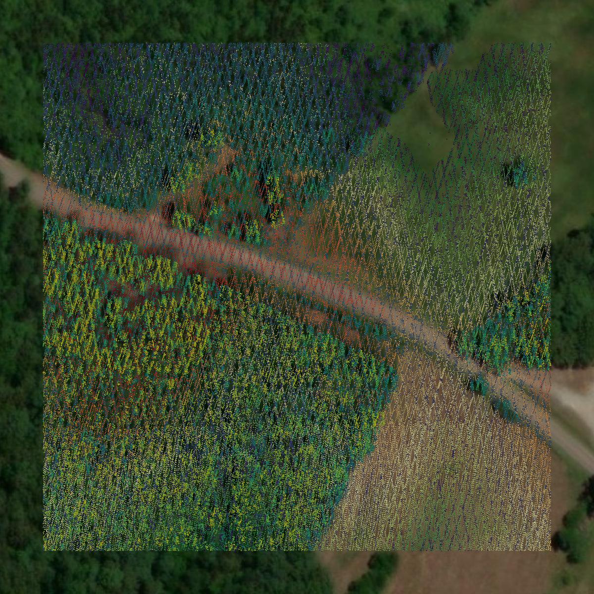 This image shows a LiDAR point cloud in Decatur County created using GIS data in Equator.