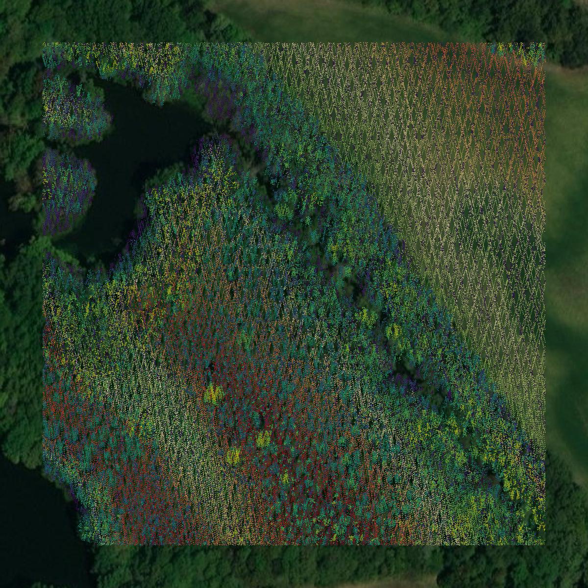 This image shows a LiDAR point cloud in Decatur County created using GIS data in Equator.