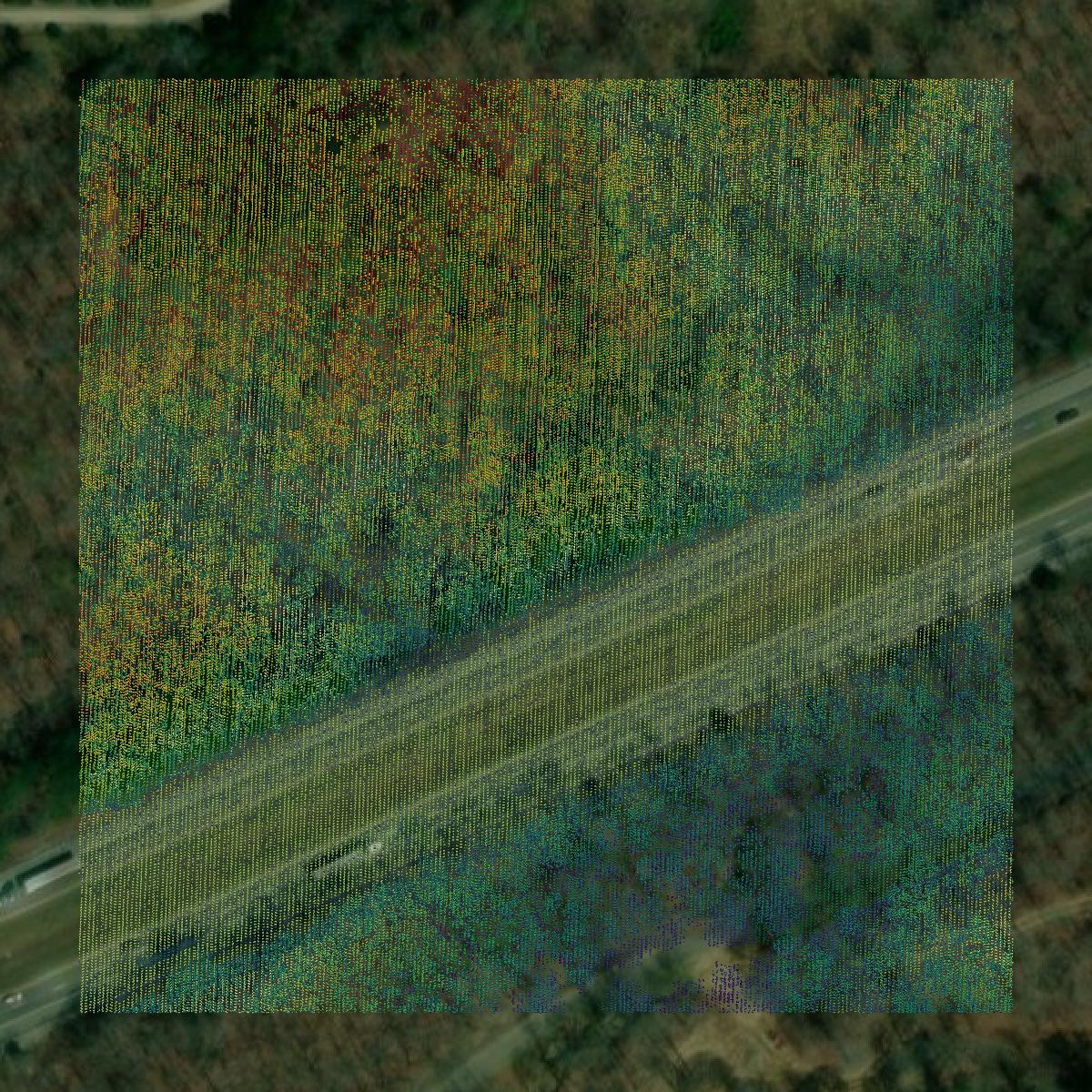 This image shows a LiDAR point cloud in Dickson County created using GIS data in Equator.