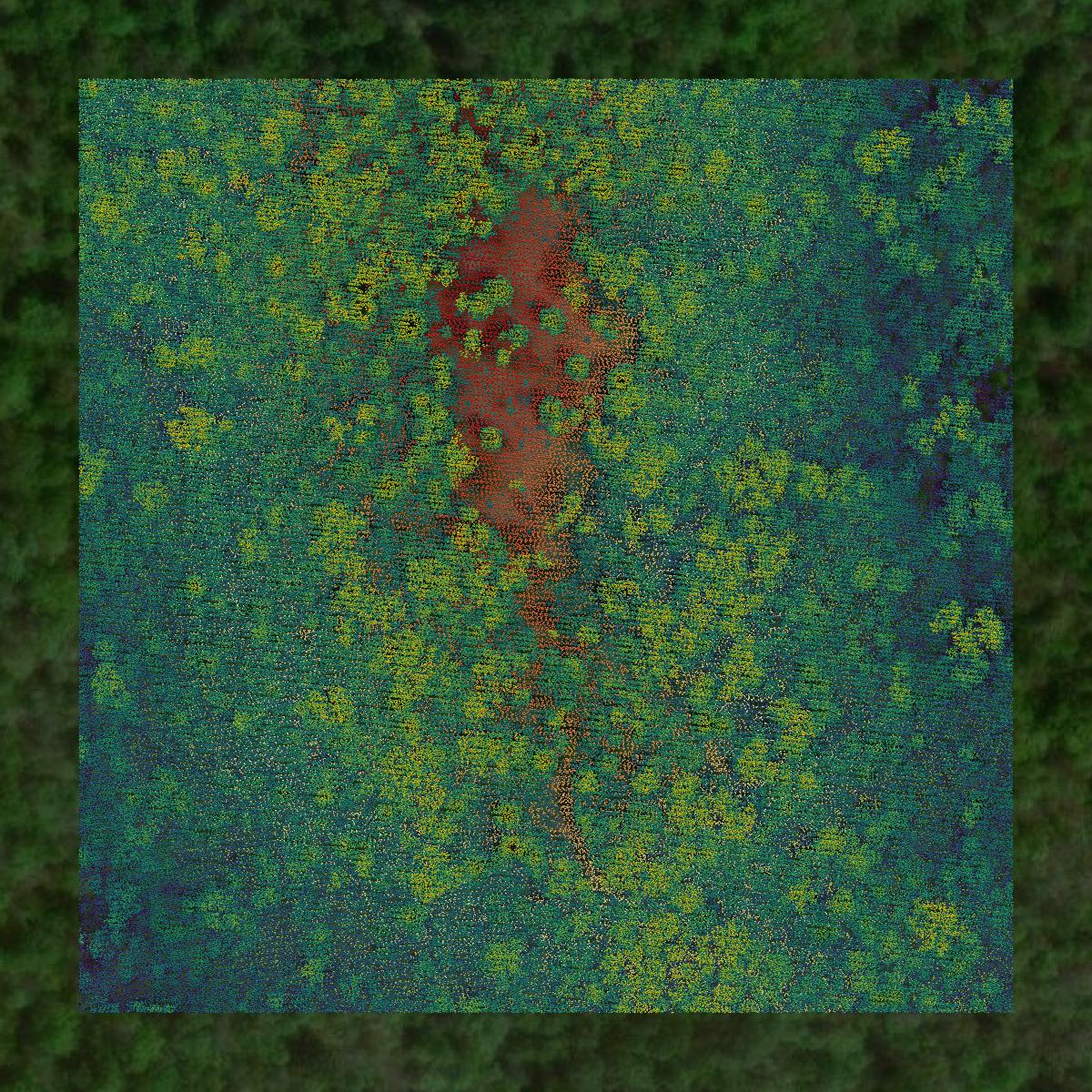 This image shows a LiDAR point cloud in Fentress County created using GIS data in Equator.