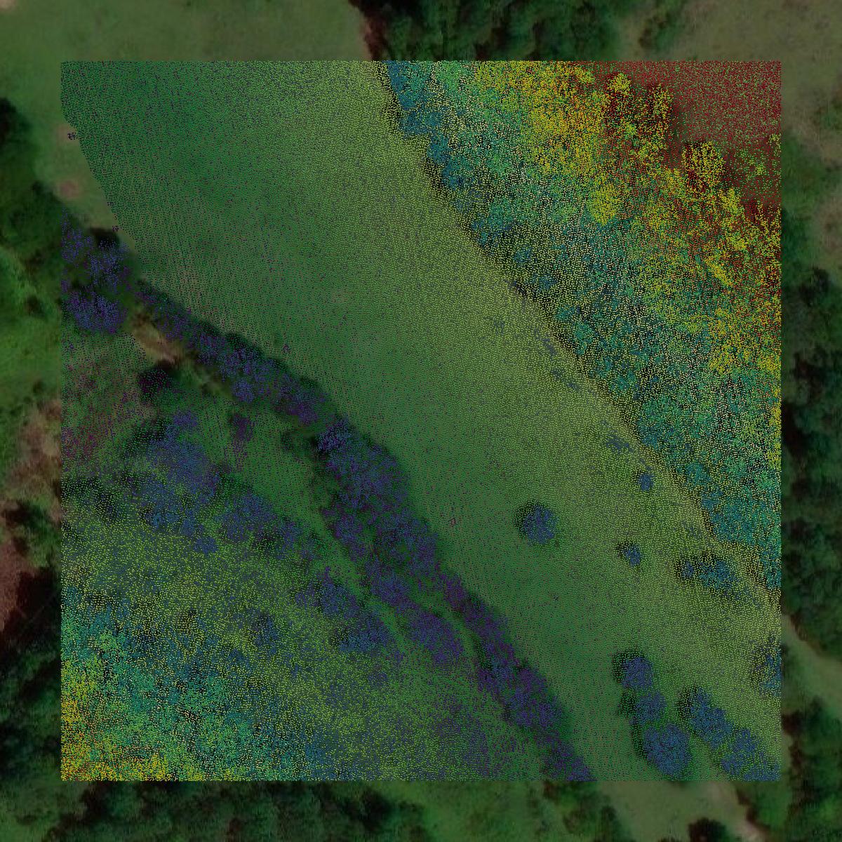 This image shows a LiDAR point cloud in Giles County created using GIS data in Equator.