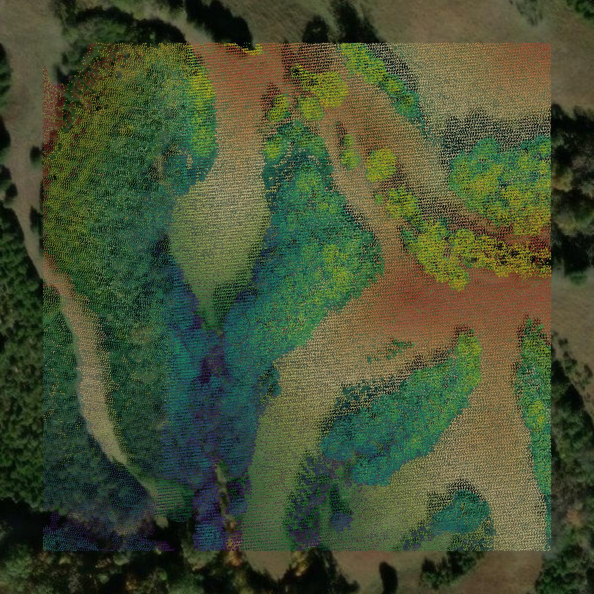 This image shows a LiDAR point cloud in Greene County created using GIS data in Equator.