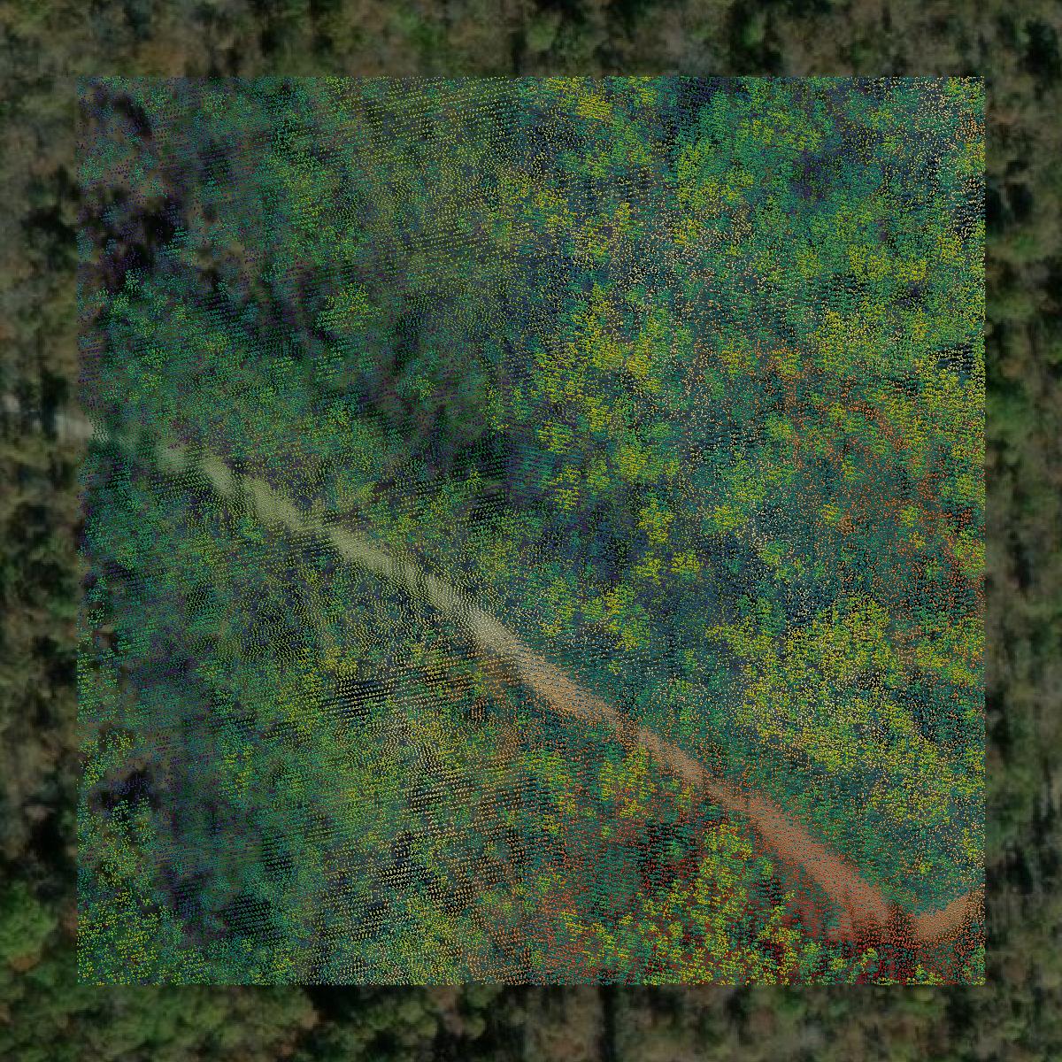 This image shows a LiDAR point cloud in Grundy County created using GIS data in Equator.