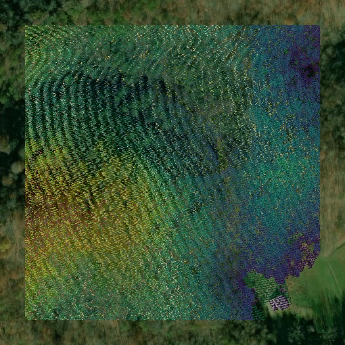 This image shows a LiDAR point cloud in Hancock County created using GIS data in Equator.