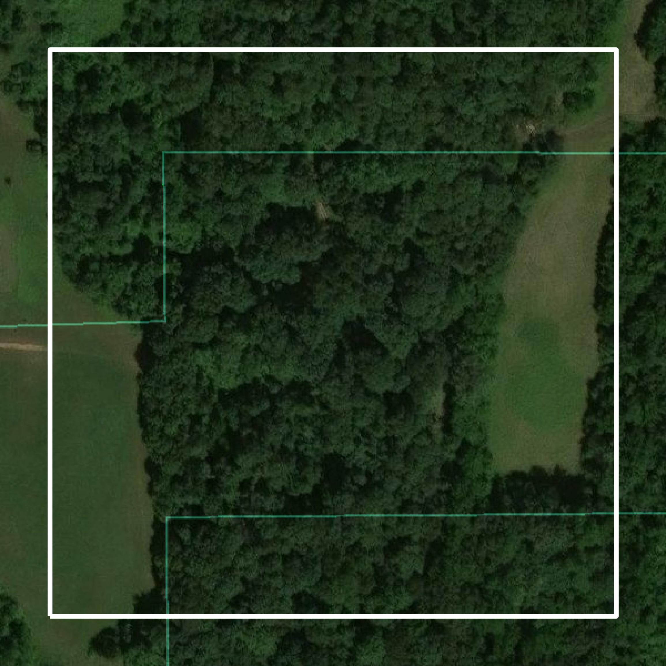 This image shows parcel and building data in Hardeman County created using GIS data in Equator.