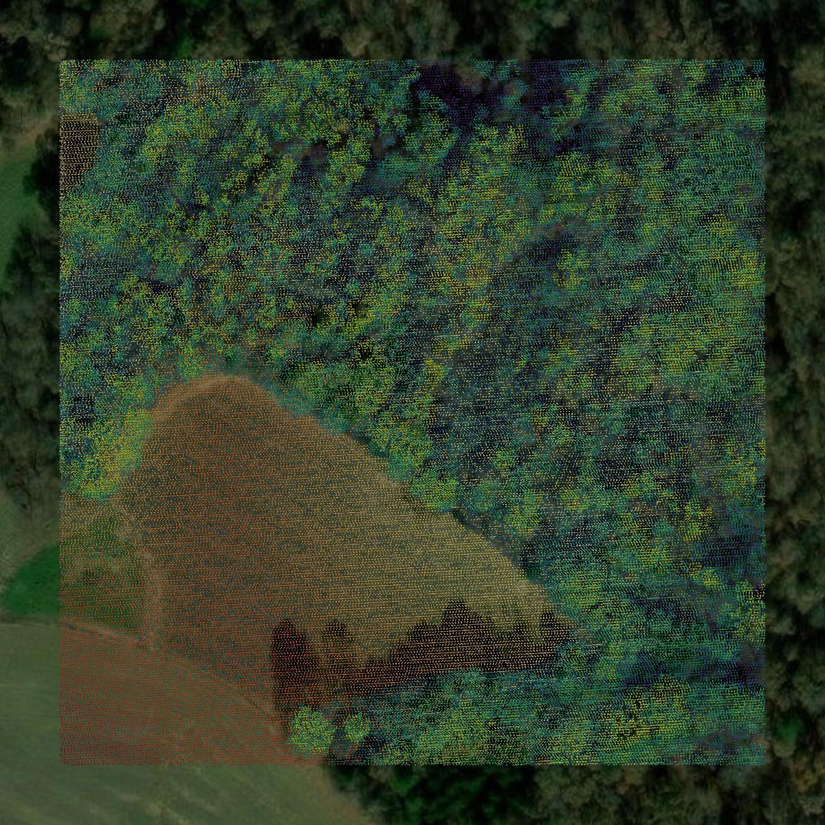 This image shows a LiDAR point cloud in Hardeman County created using GIS data in Equator.