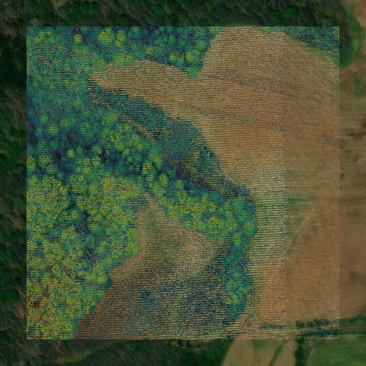 This image shows a LiDAR point cloud in Hardeman County created using GIS data in Equator.