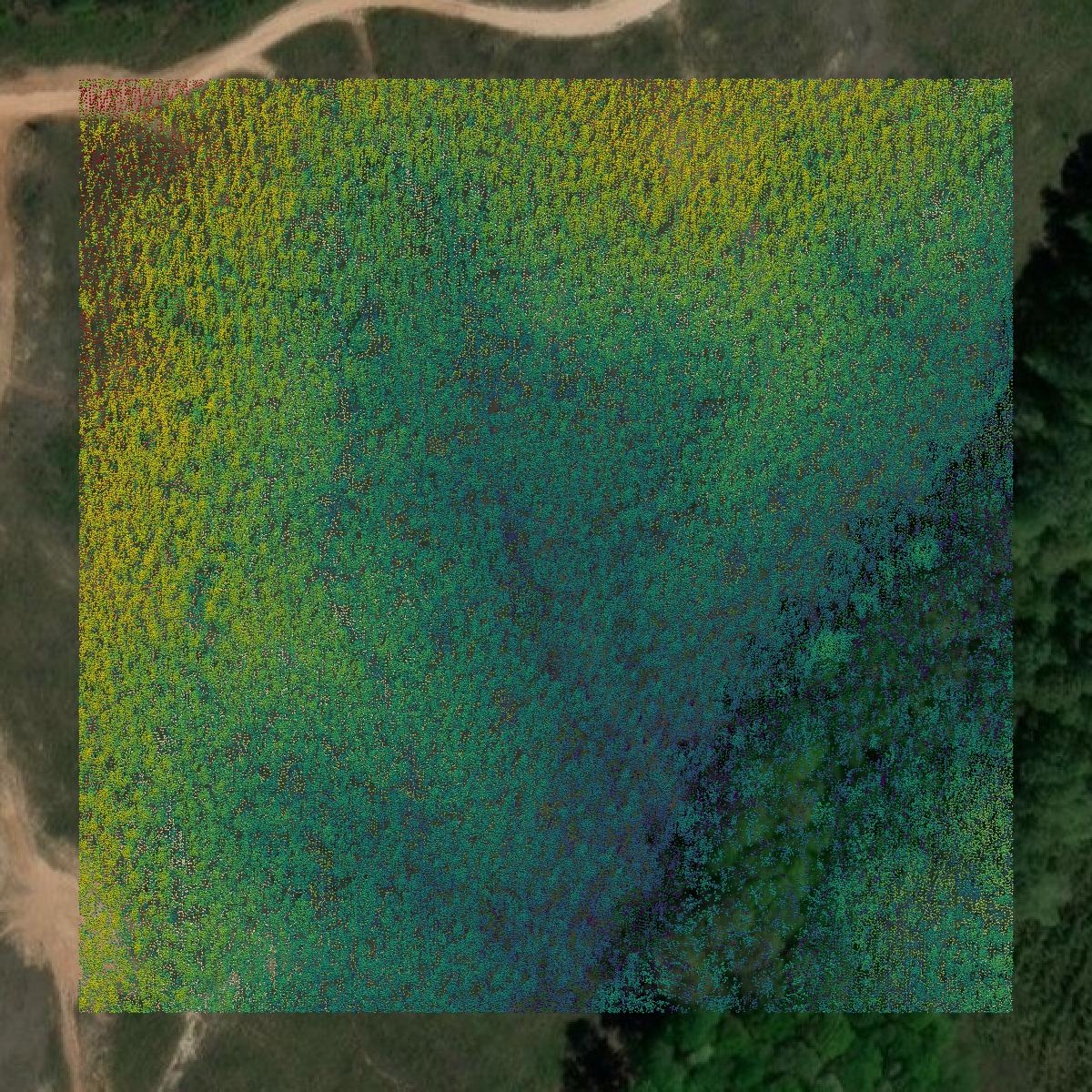 This image shows a LiDAR point cloud in Hardin County created using GIS data in Equator.
