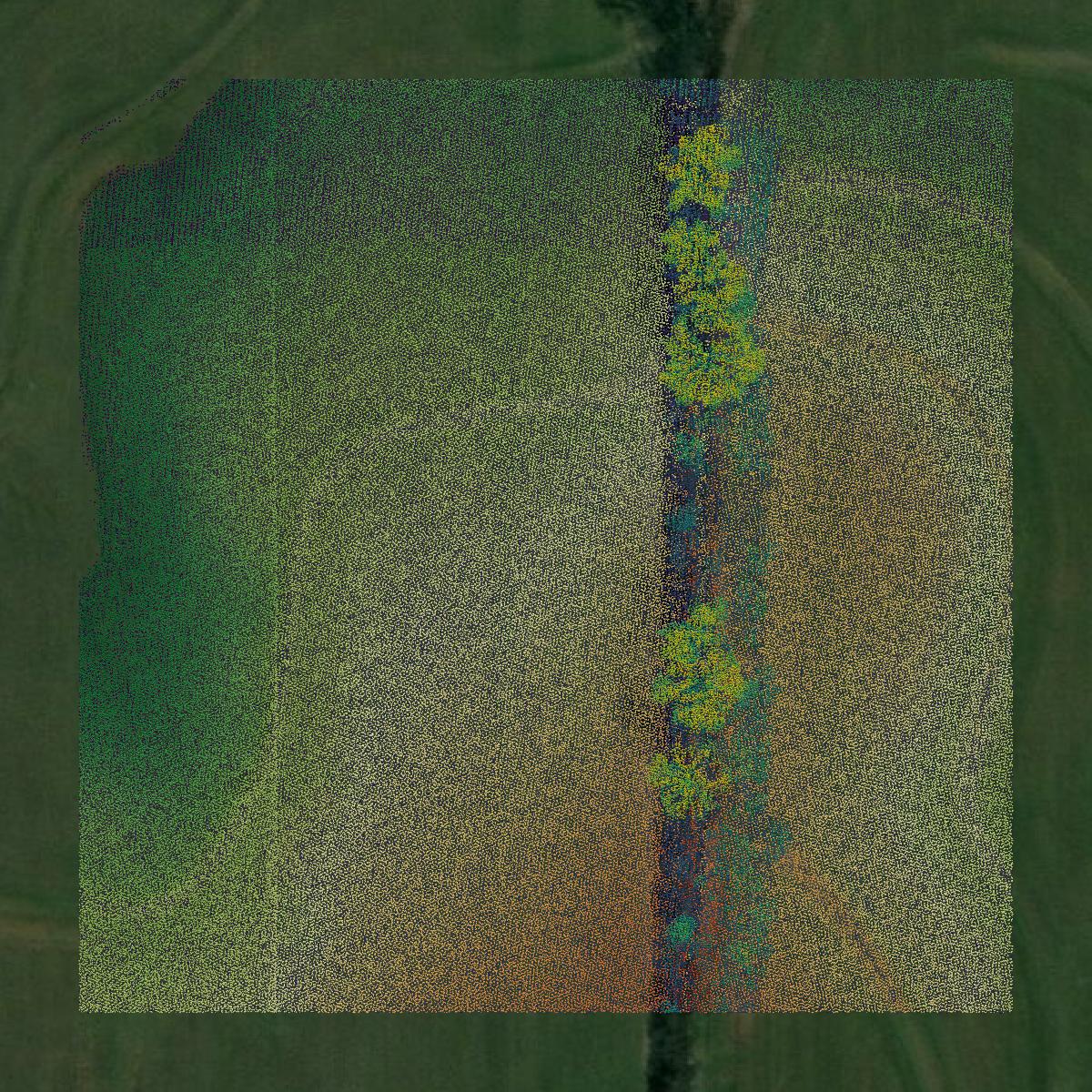 This image shows a LiDAR point cloud in Haywood County created using GIS data in Equator.