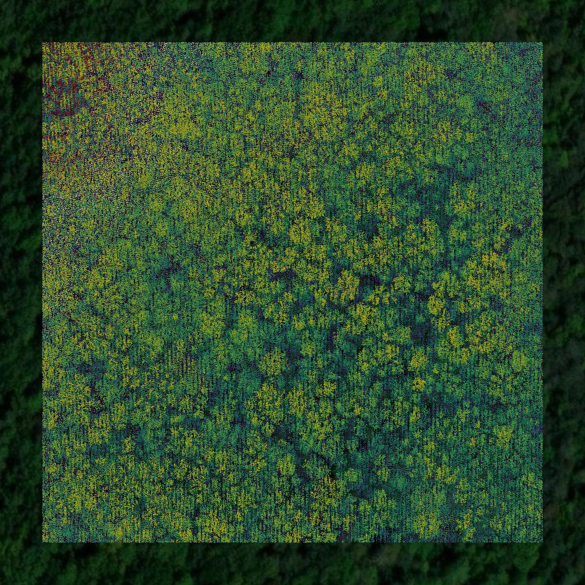 This image shows a LiDAR point cloud in Henderson County created using GIS data in Equator.