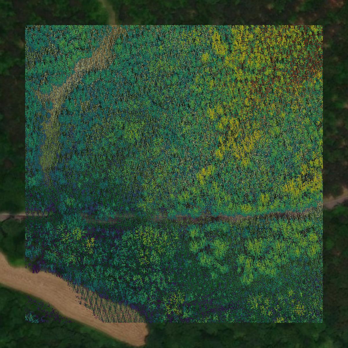 This image shows a LiDAR point cloud in Henderson County created using GIS data in Equator.