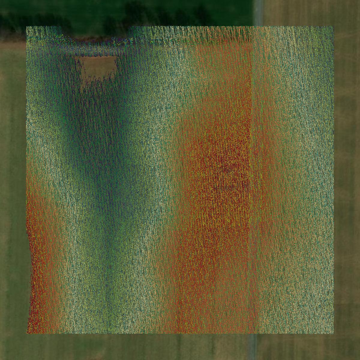 This image shows a LiDAR point cloud in Henry County created using GIS data in Equator.