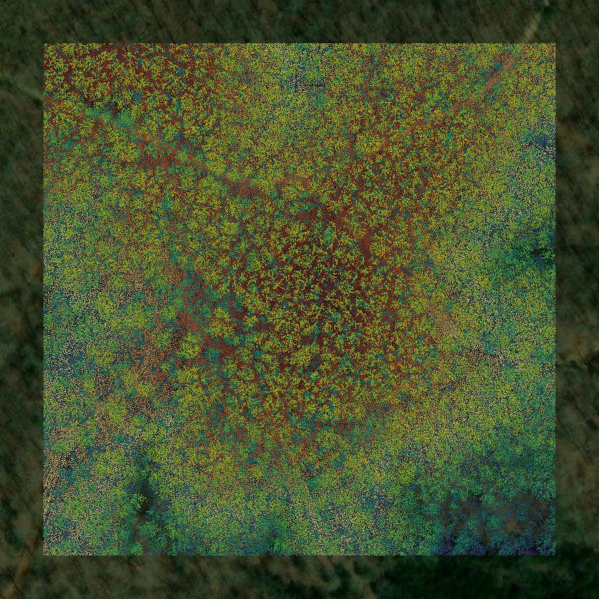 This image shows a LiDAR point cloud in Hickman County created using GIS data in Equator.