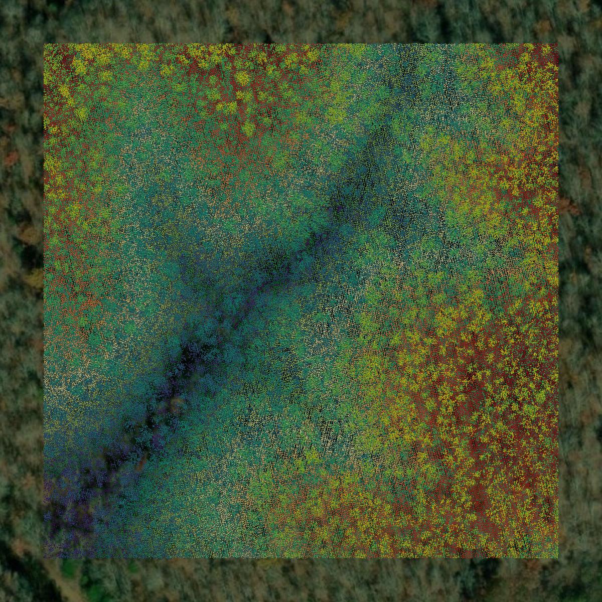This image shows a LiDAR point cloud in Hickman County created using GIS data in Equator.