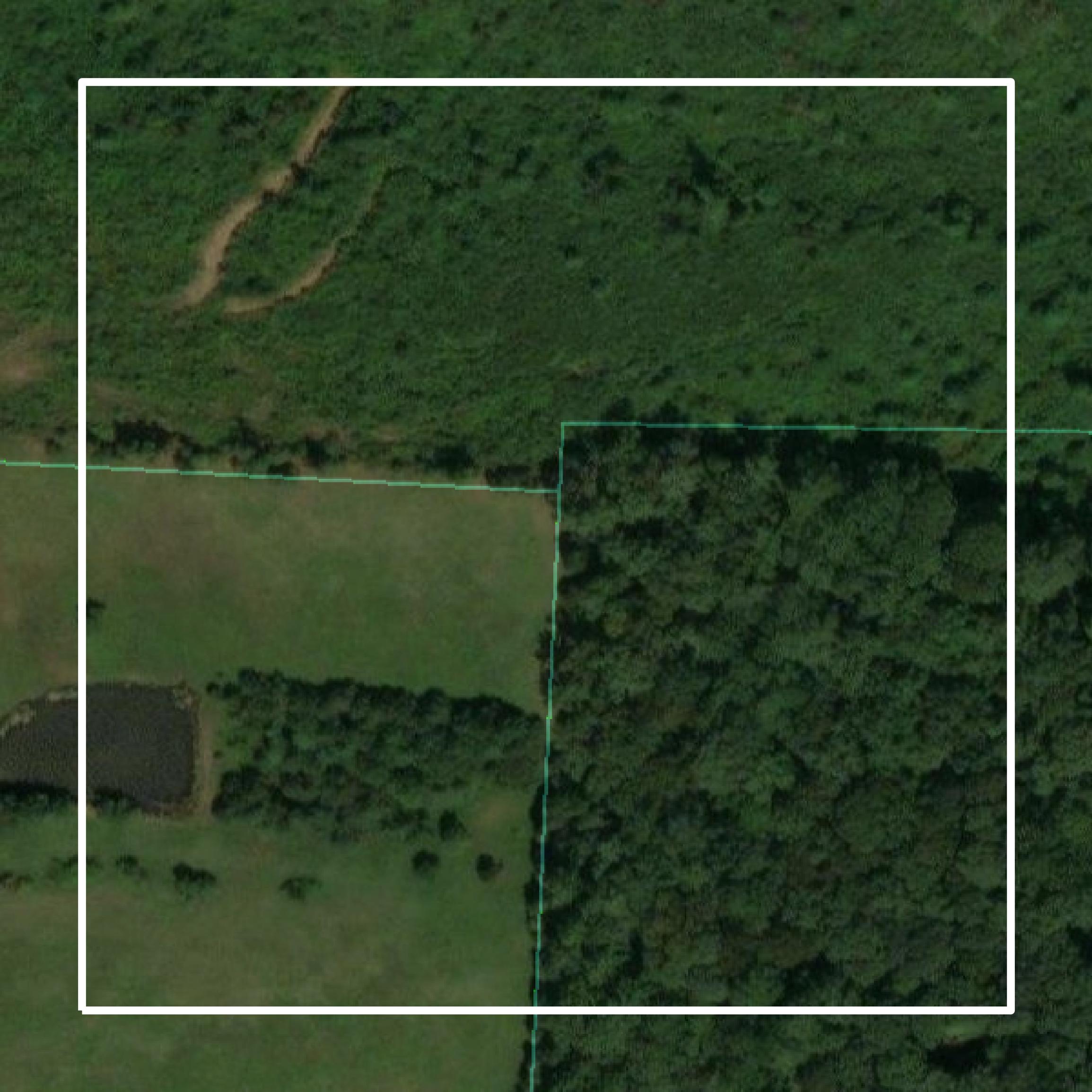 This image shows parcel and building data in Houston County created using GIS data in Equator.