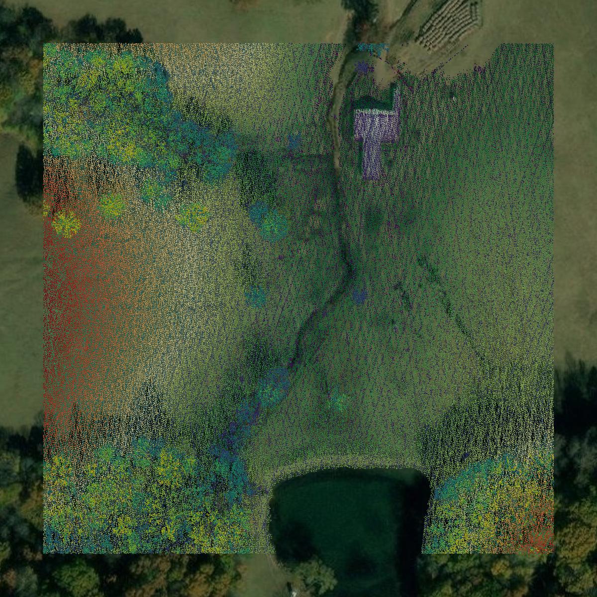 This image shows a LiDAR point cloud in Houston County created using GIS data in Equator.