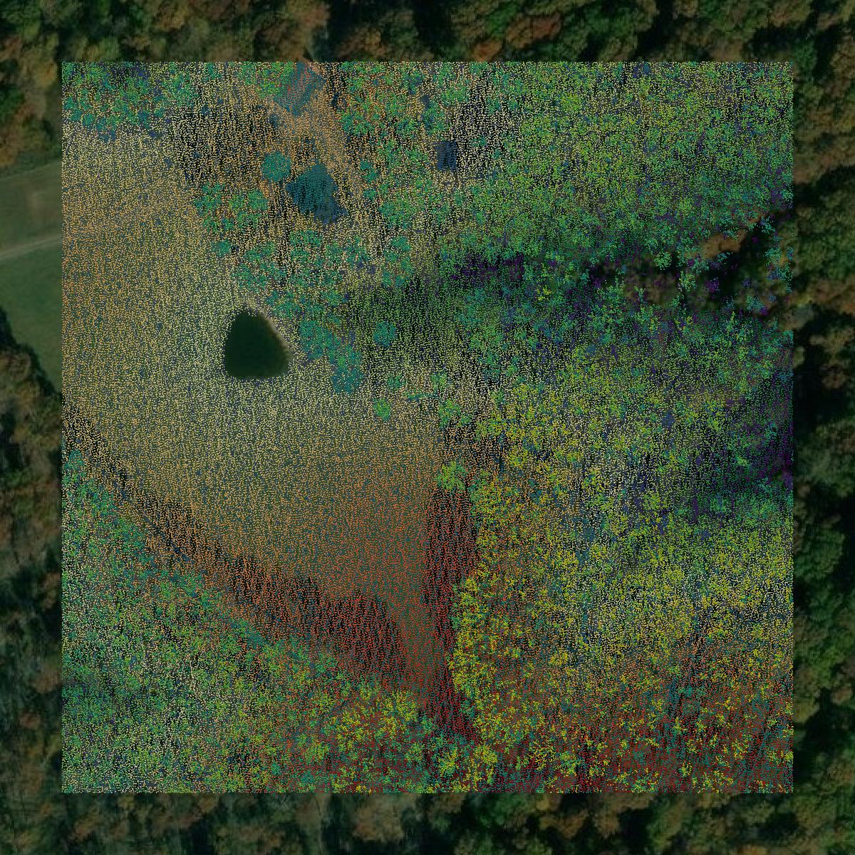 This image shows a LiDAR point cloud in Houston County created using GIS data in Equator.