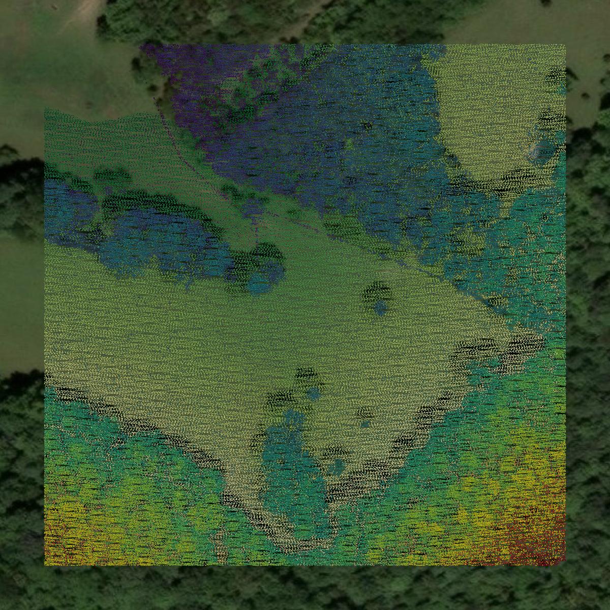 This image shows a LiDAR point cloud in Jackson County created using GIS data in Equator.