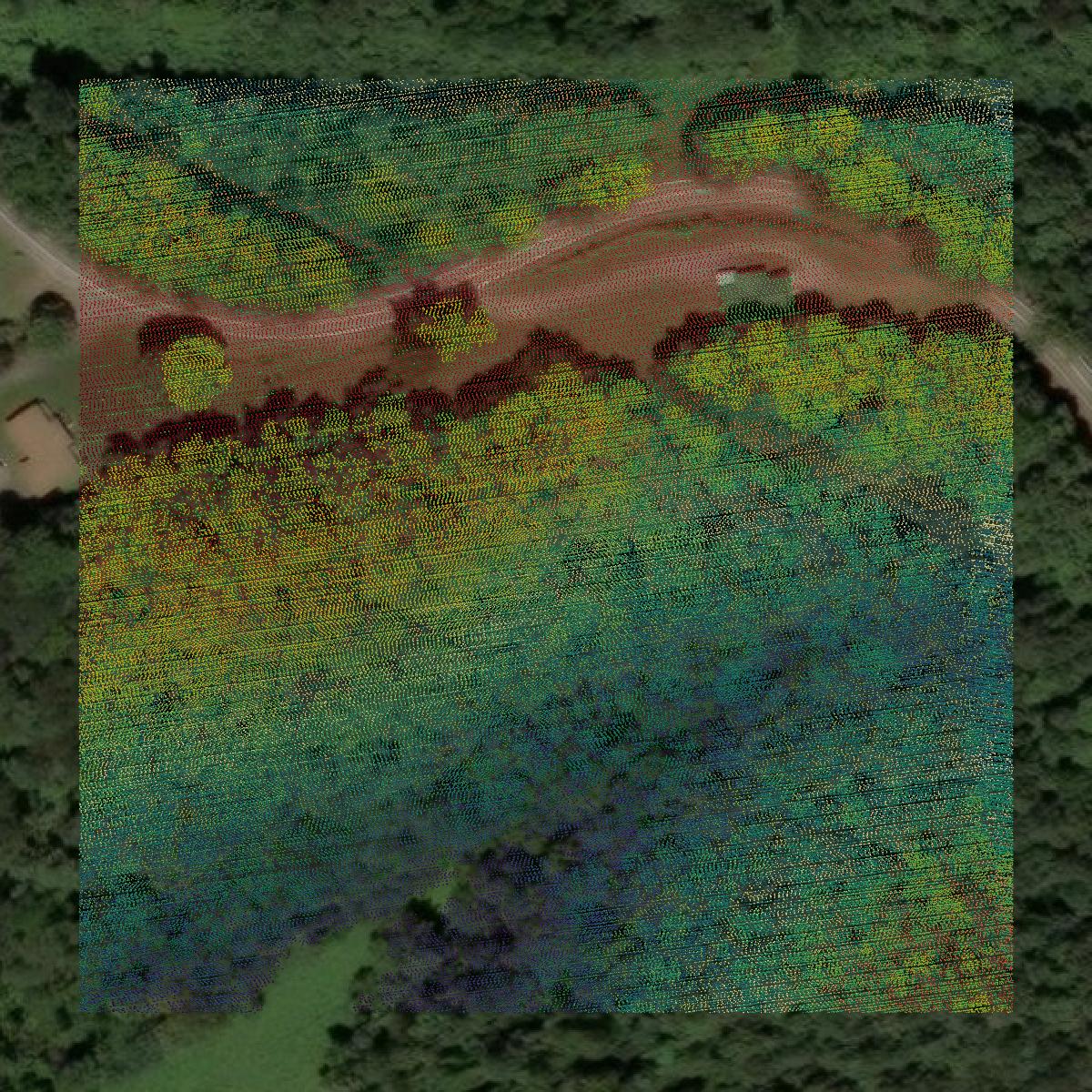This image shows a LiDAR point cloud in Jackson County created using GIS data in Equator.