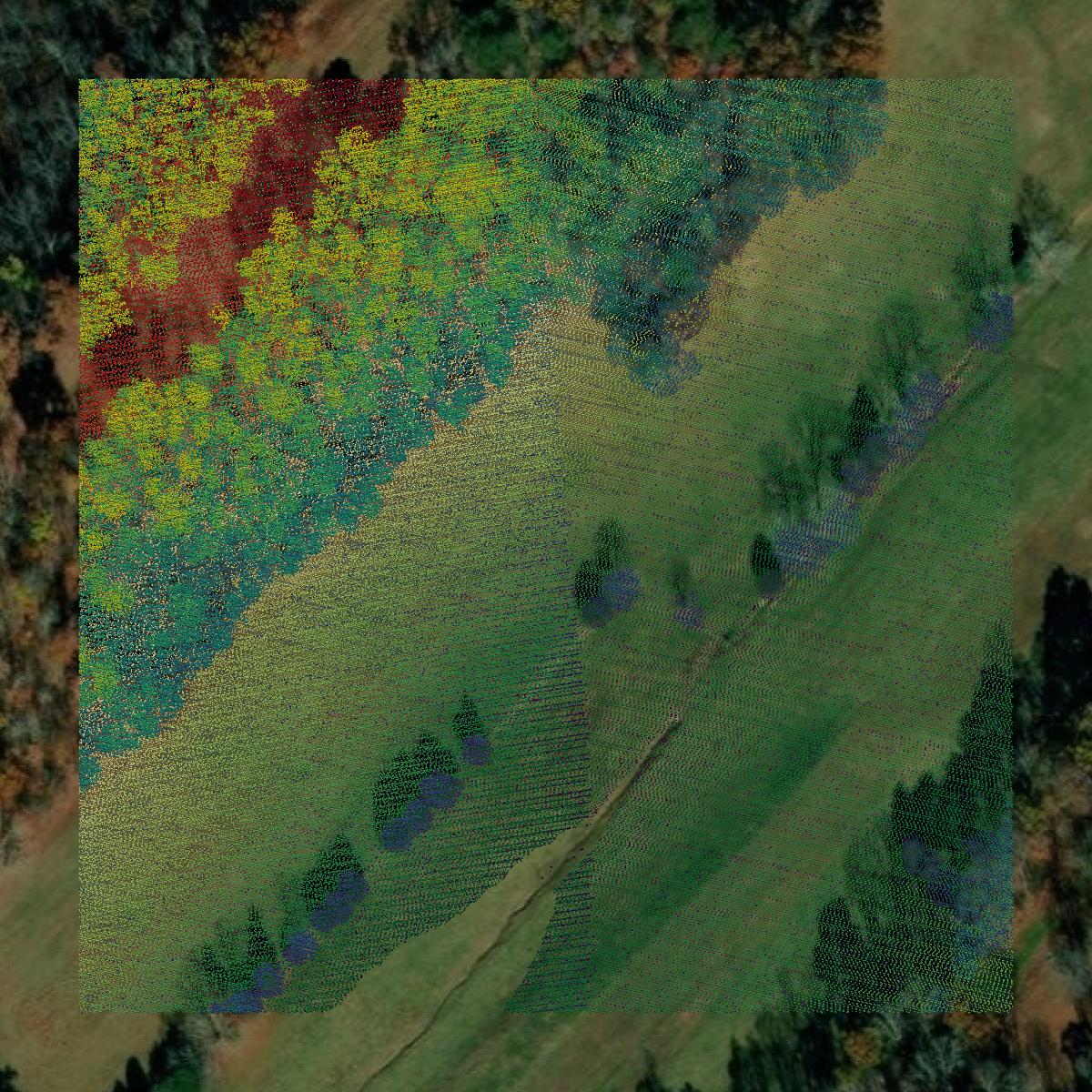 This image shows a LiDAR point cloud in Jefferson County created using GIS data in Equator.