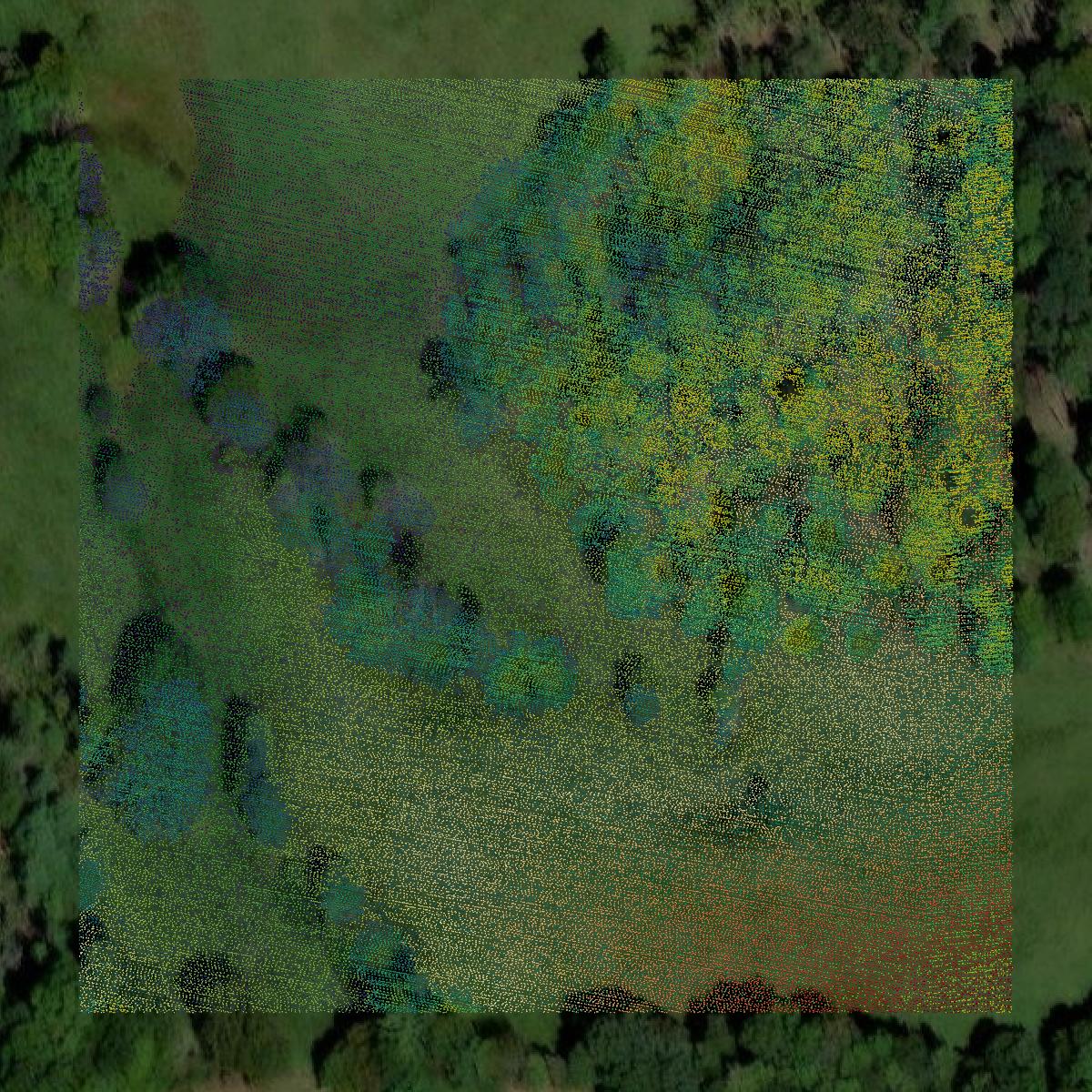This image shows a LiDAR point cloud in Johnson County created using GIS data in Equator.