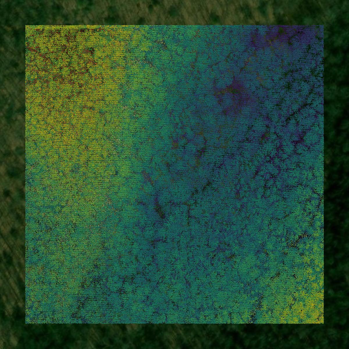 This image shows a LiDAR point cloud in Johnson County created using GIS data in Equator.