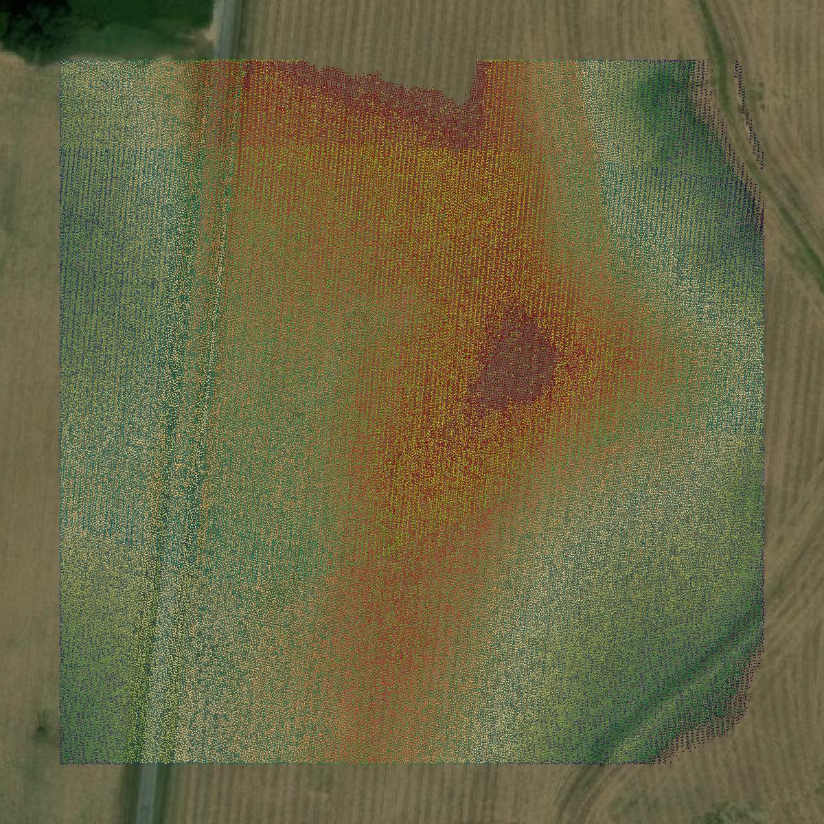 This image shows a LiDAR point cloud in Lauderdale County created using GIS data in Equator.