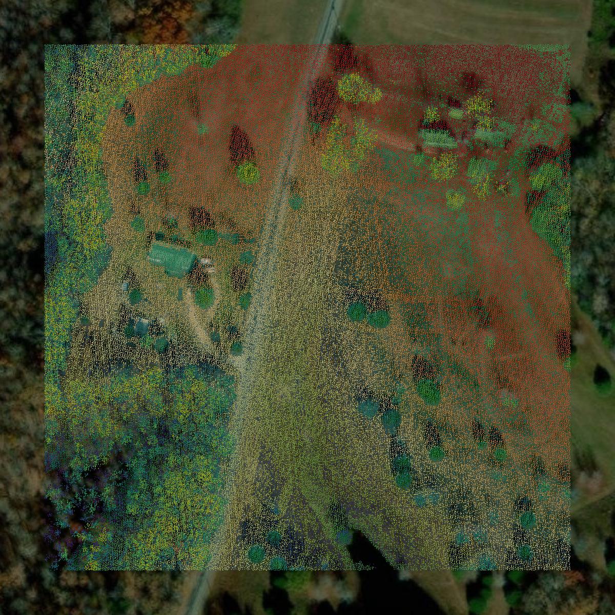 This image shows a LiDAR point cloud in Lawrence County created using GIS data in Equator.