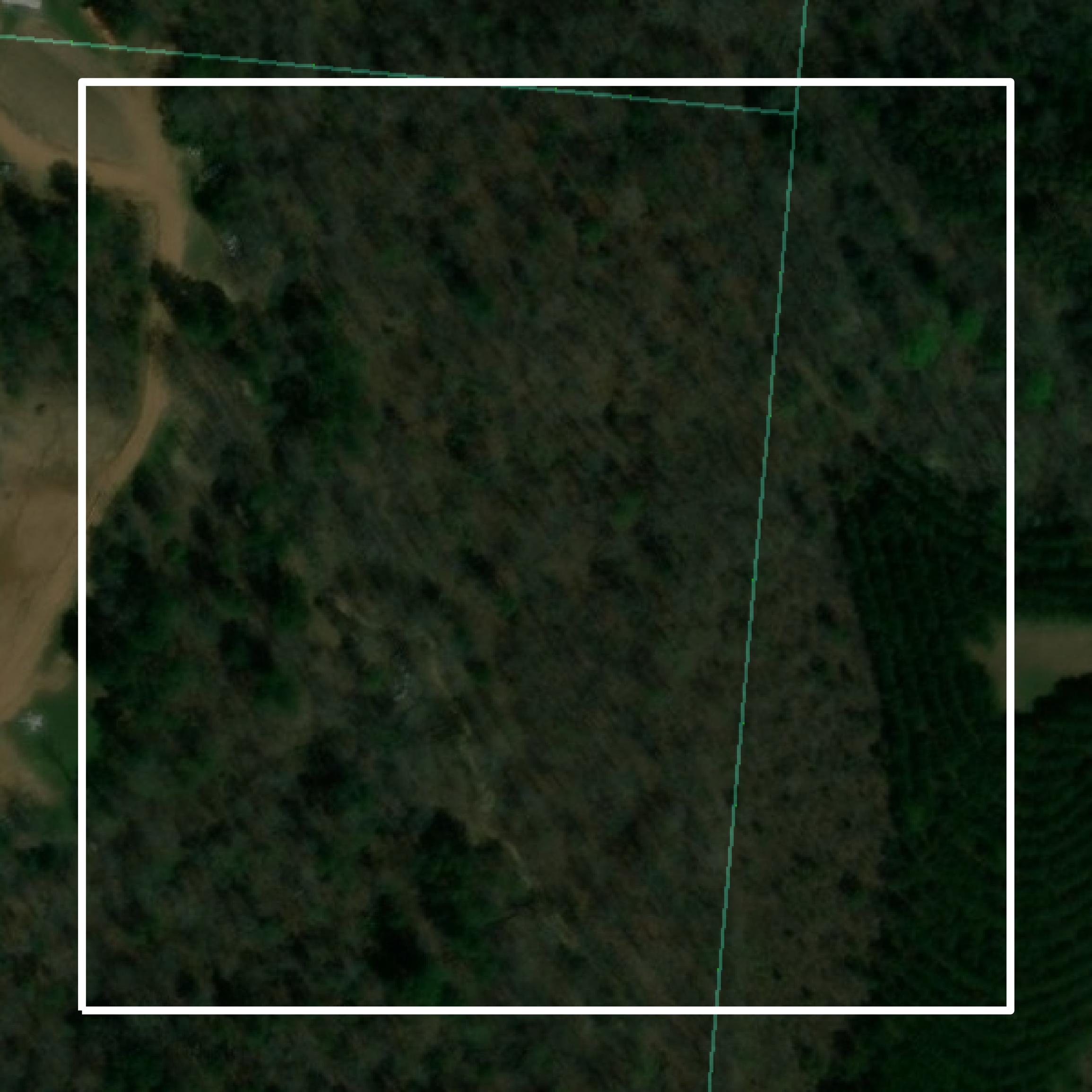 This image shows parcel and building data in Lewis County created using GIS data in Equator.