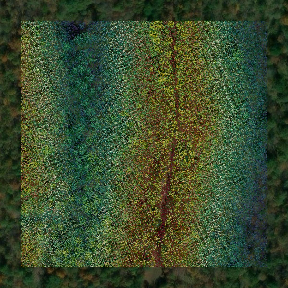 This image shows a LiDAR point cloud in Lewis County created using GIS data in Equator.
