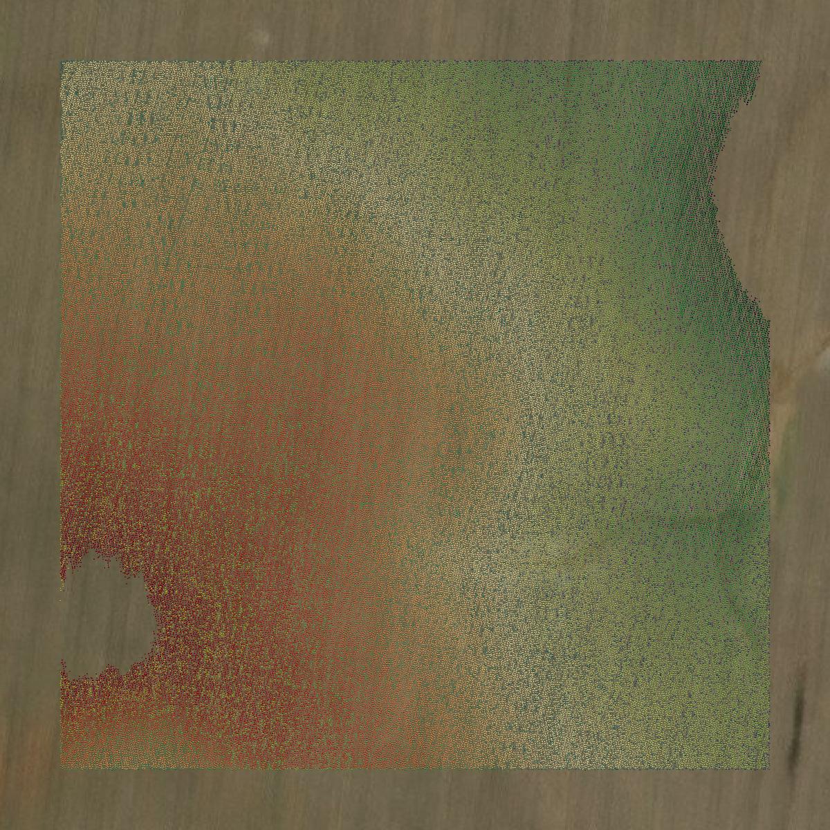 This image shows a LiDAR point cloud in Lincoln County created using GIS data in Equator.