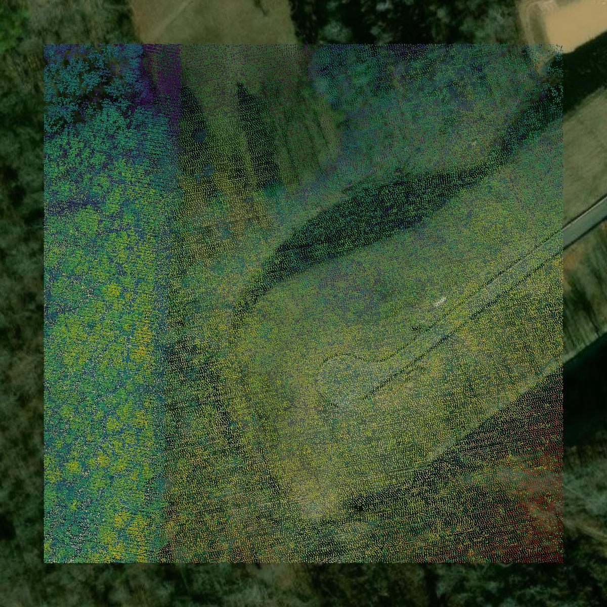 This image shows a LiDAR point cloud in Loudon County created using GIS data in Equator.