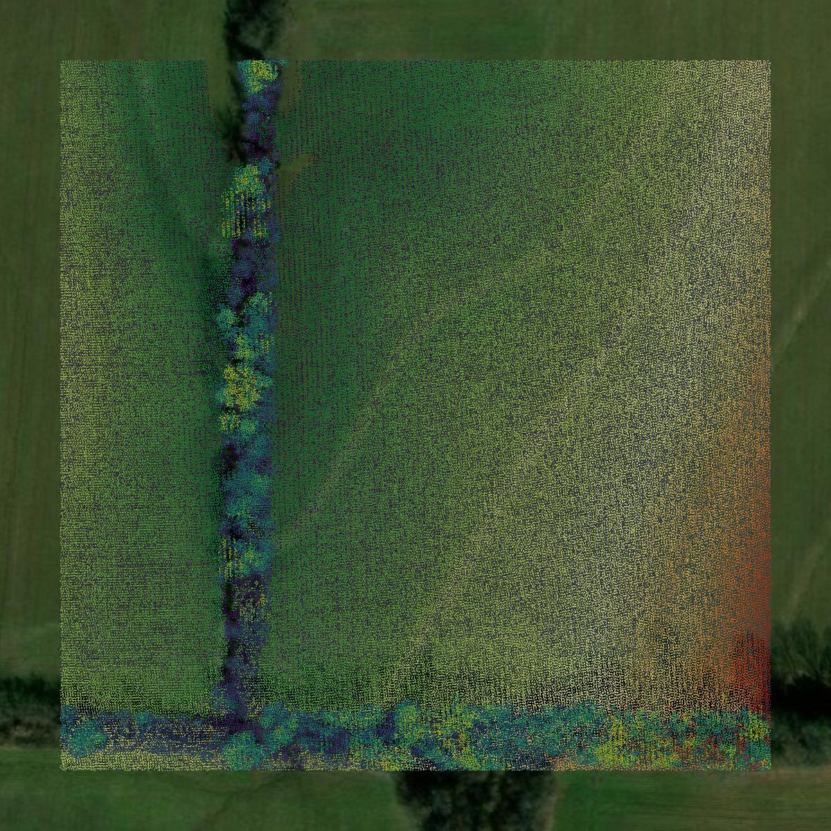 This image shows a LiDAR point cloud in Madison County created using GIS data in Equator.