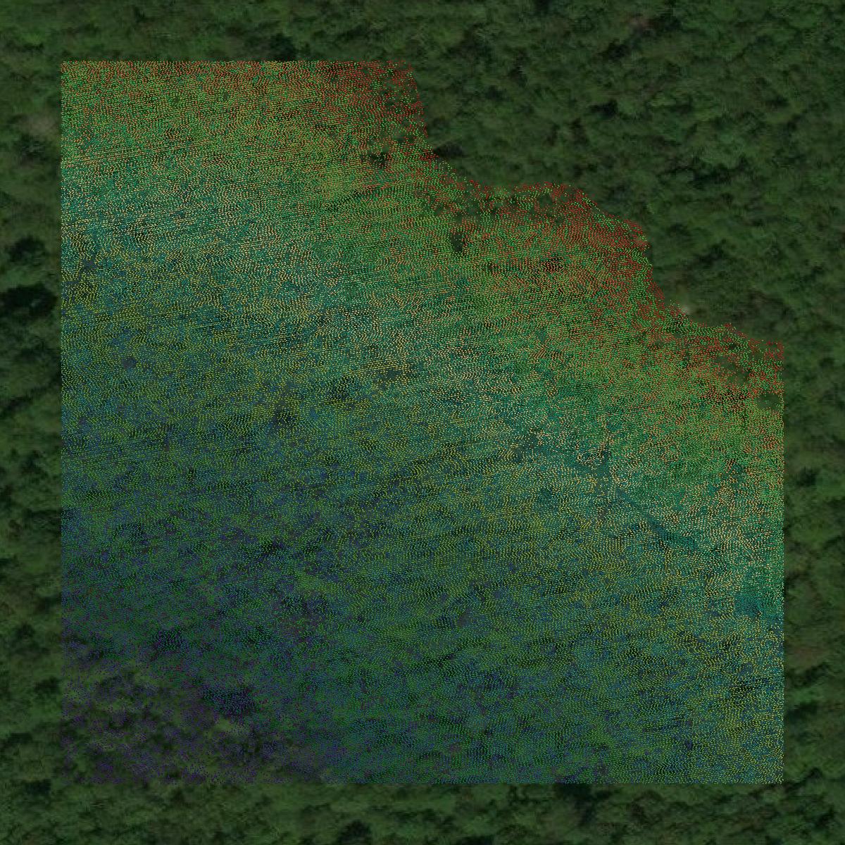 This image shows a LiDAR point cloud in Marion County created using GIS data in Equator.