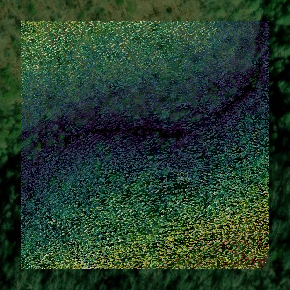 This image shows a LiDAR point cloud in Marion County created using GIS data in Equator.