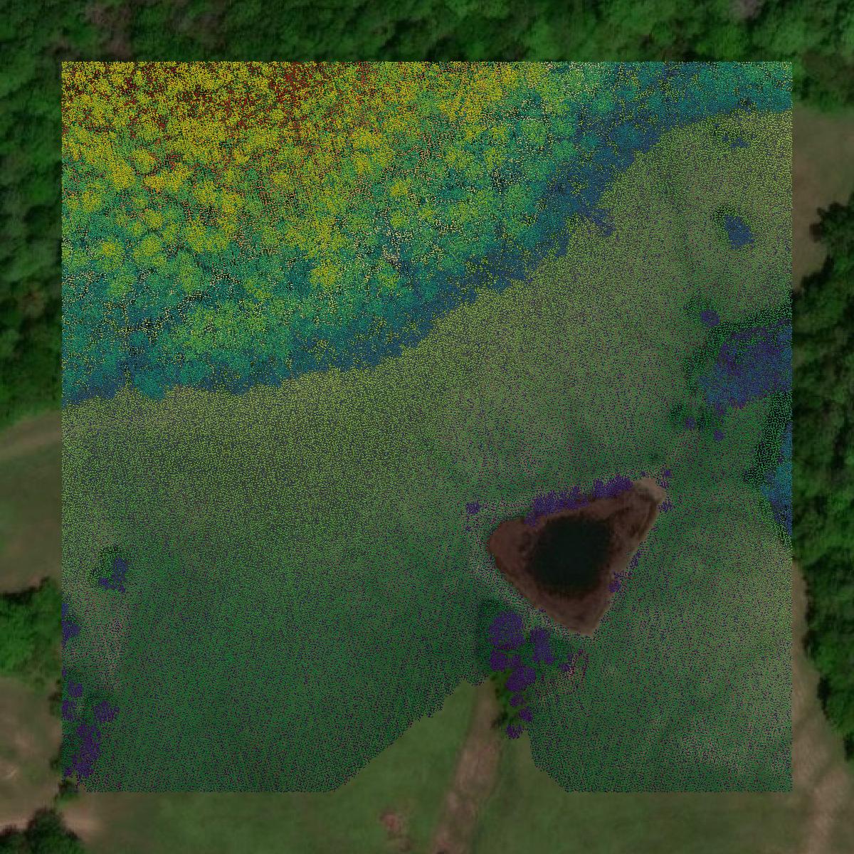 This image shows a LiDAR point cloud in Marshall County created using GIS data in Equator.