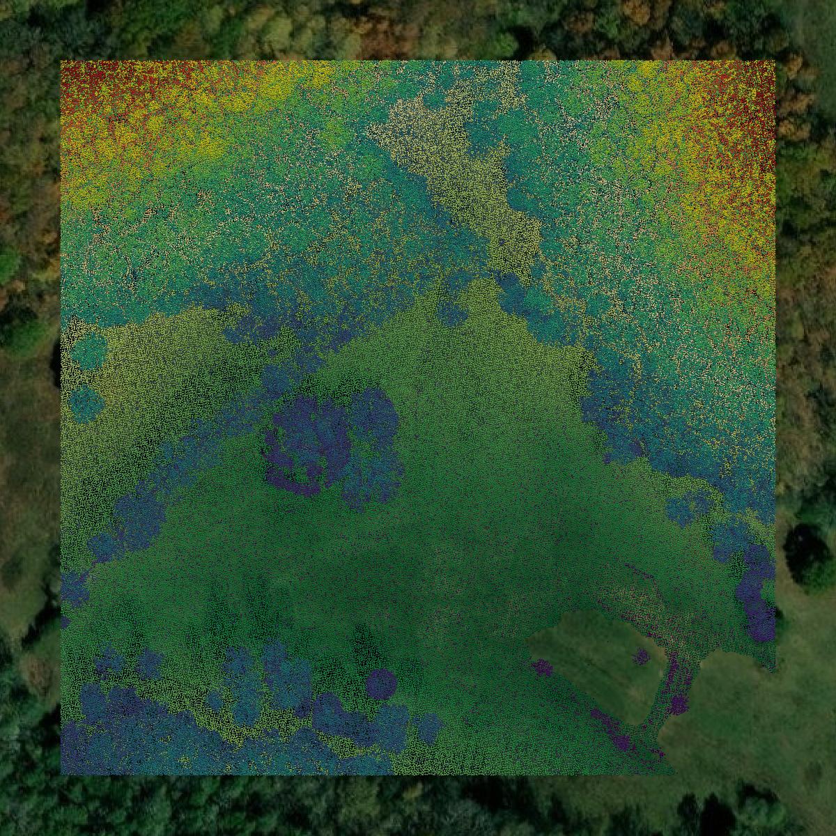 This image shows a LiDAR point cloud in Maury County created using GIS data in Equator.