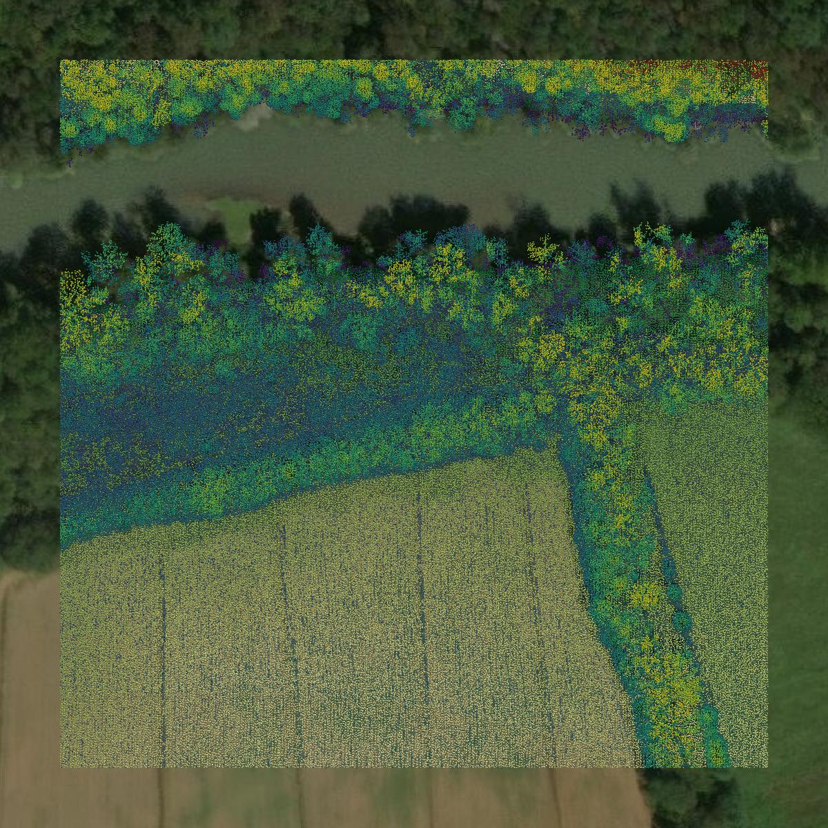 This image shows a LiDAR point cloud in Maury County created using GIS data in Equator.