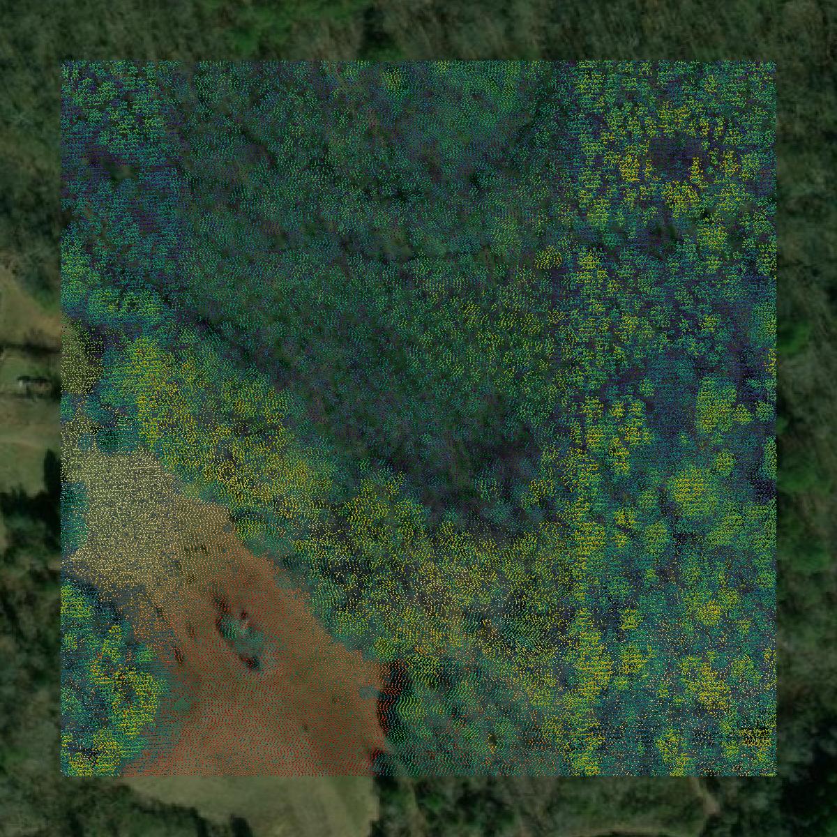 This image shows a LiDAR point cloud in McMinn County created using GIS data in Equator.