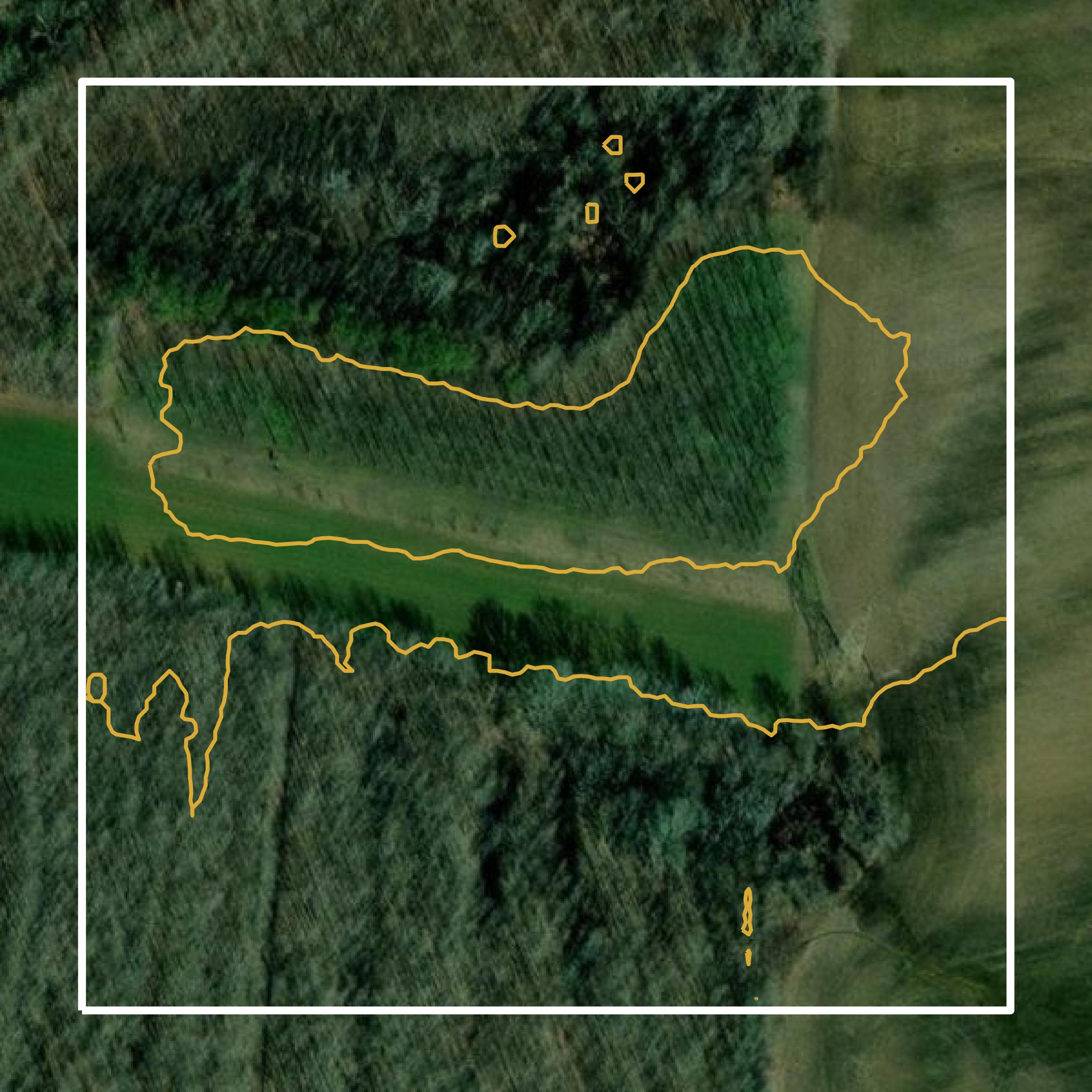 This image shows a contour map in McNairy County created using GIS data in Equator.