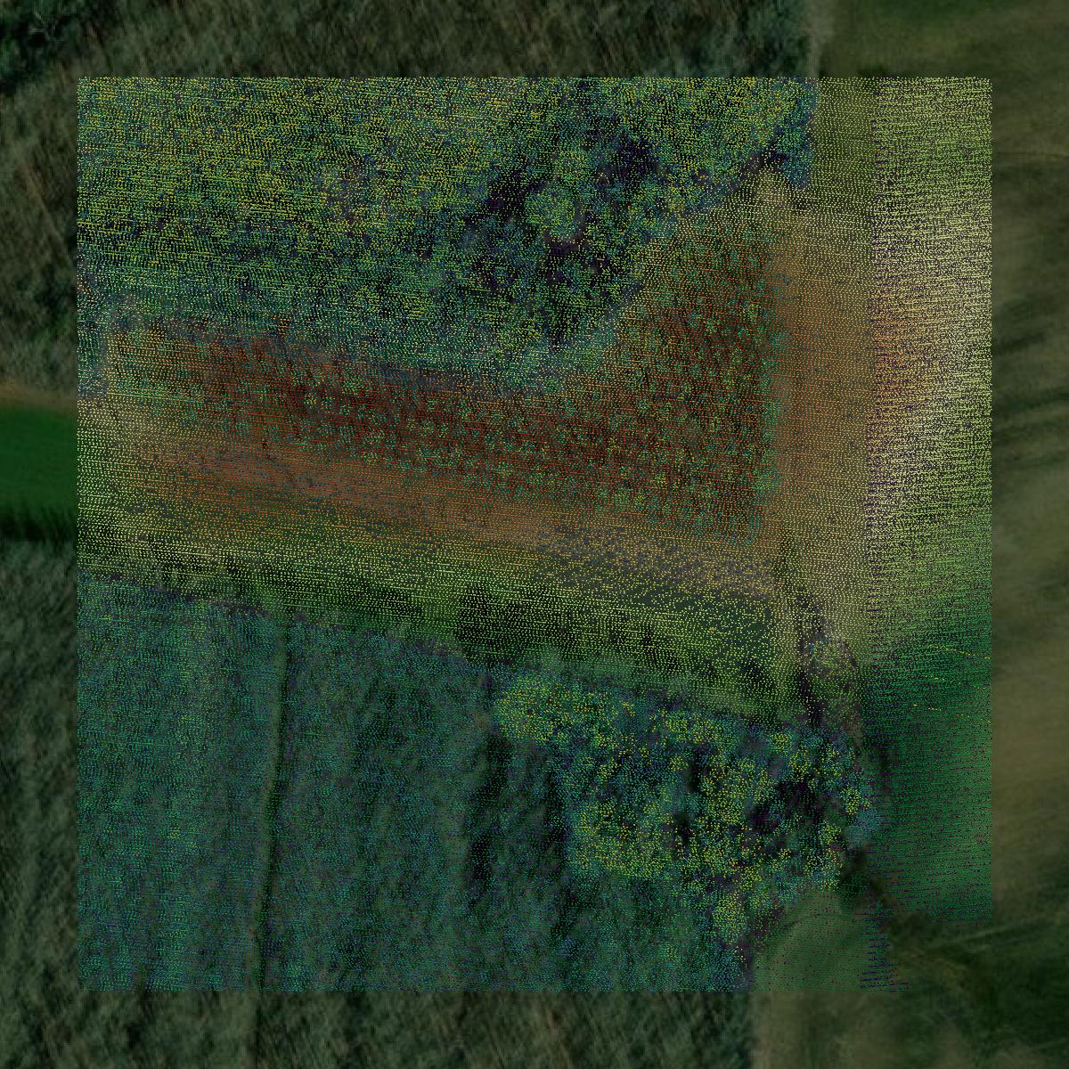 This image shows a LiDAR point cloud in McNairy County created using GIS data in Equator.