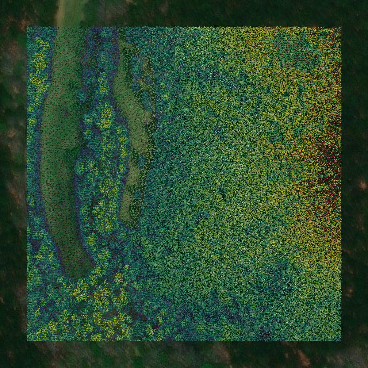 This image shows a LiDAR point cloud in McNairy County created using GIS data in Equator.