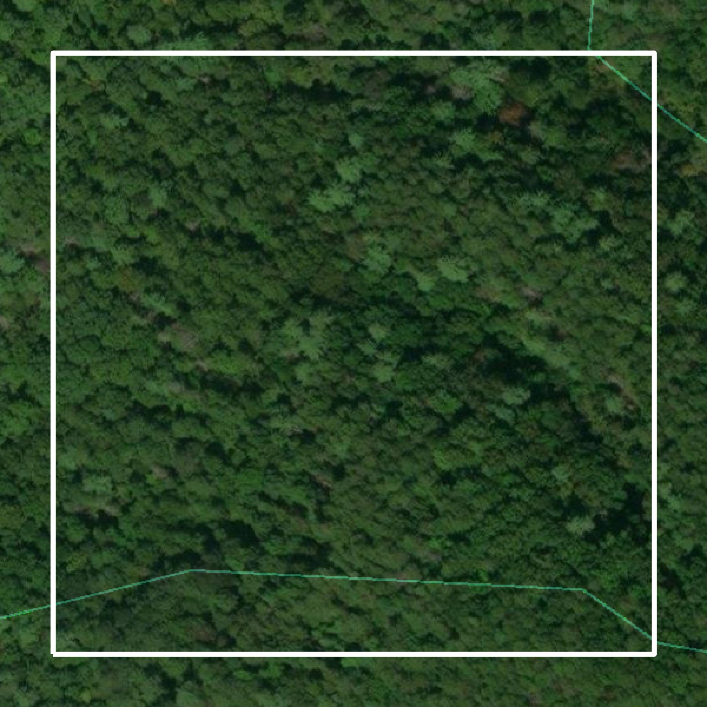 This image shows parcel and building data in Monroe County created using GIS data in Equator.