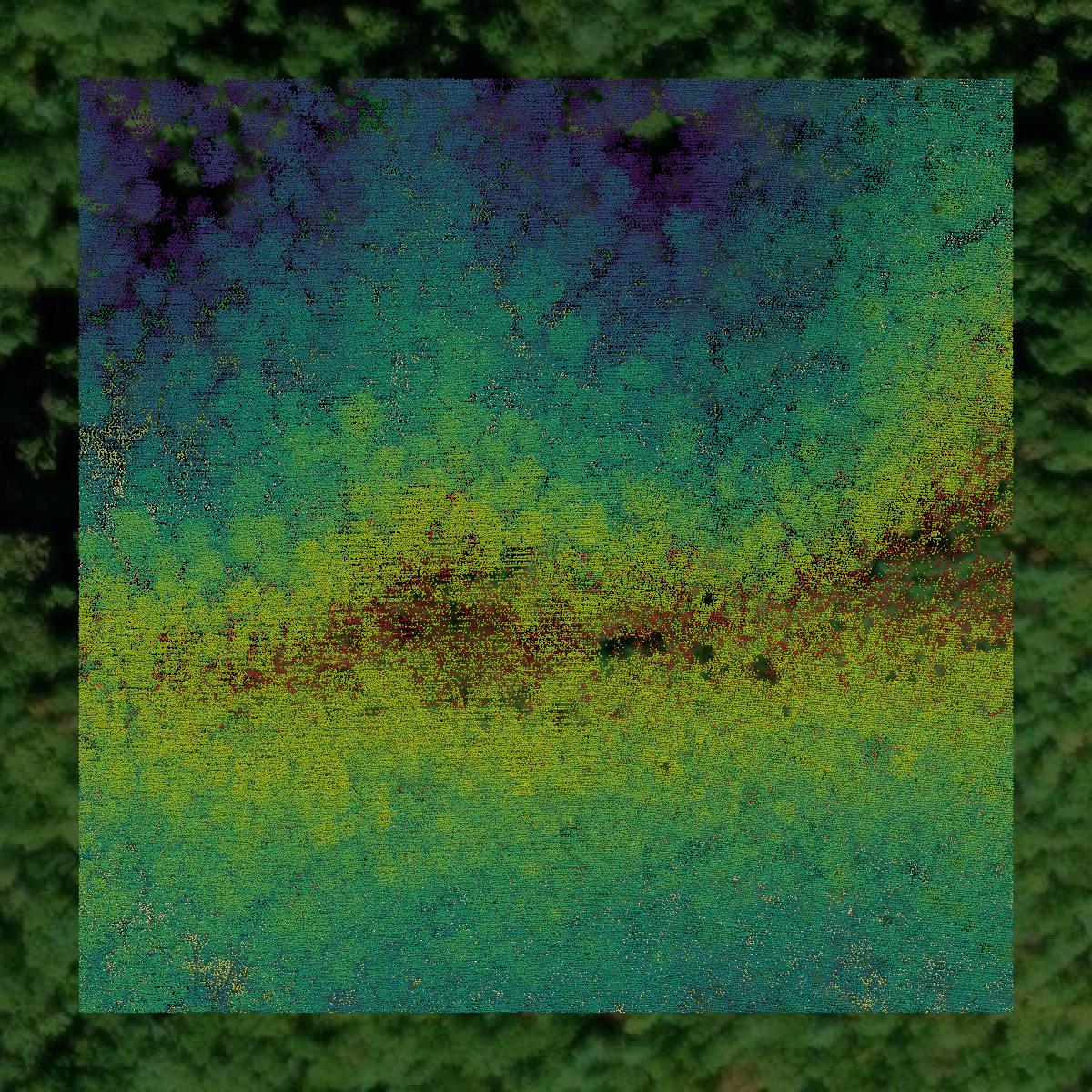 This image shows a LiDAR point cloud in Monroe County created using GIS data in Equator.